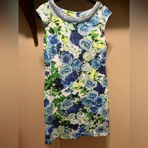 NWOT Beautiful Sandra Darren Dress 💚💙🤍💚💙🤍